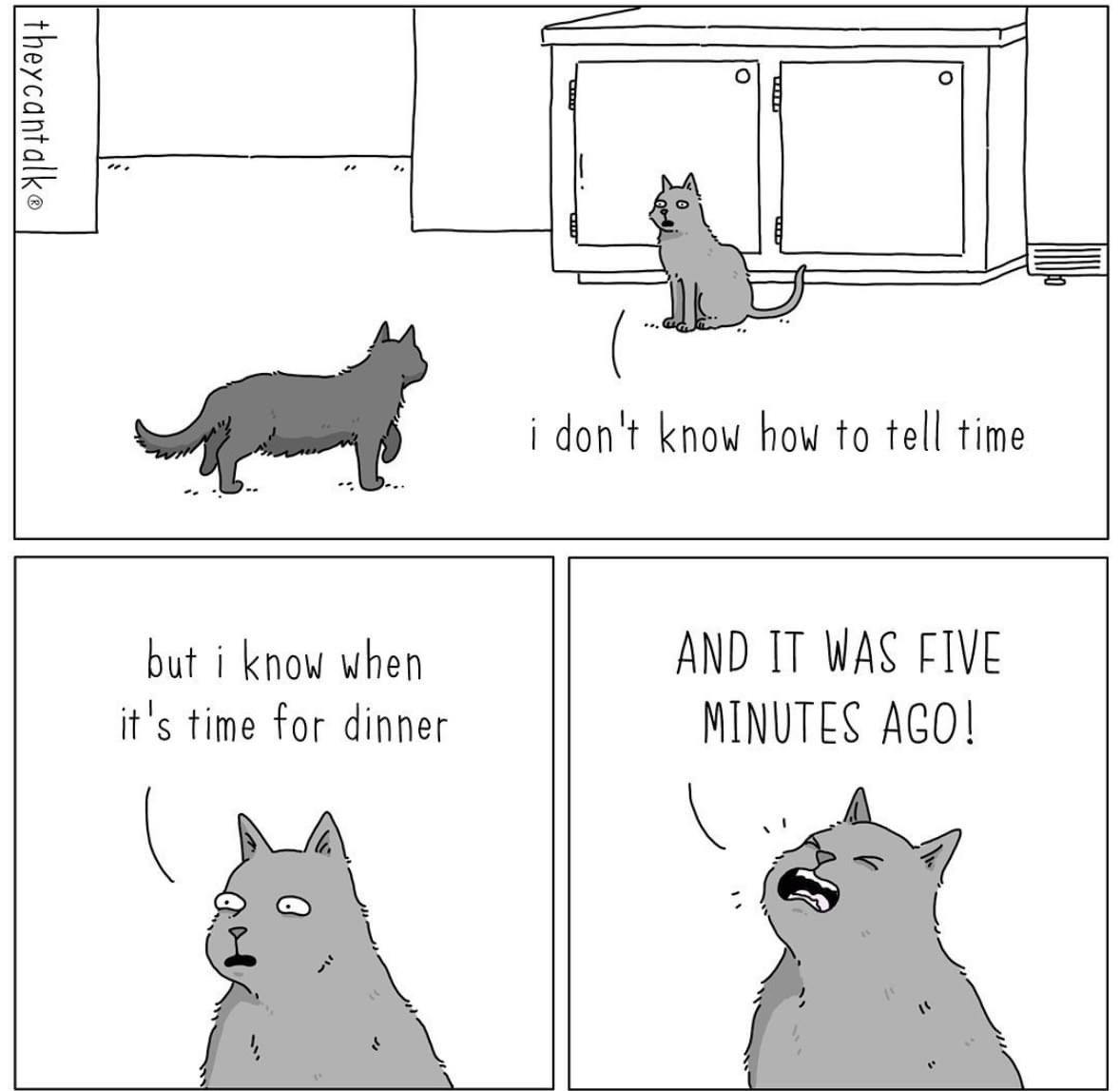 ThePhilosopurr's tweet photo. #ItsAlwaysFoodOclock
Did you feed the kitties ? https://t.co/AQ7SJSXHz3