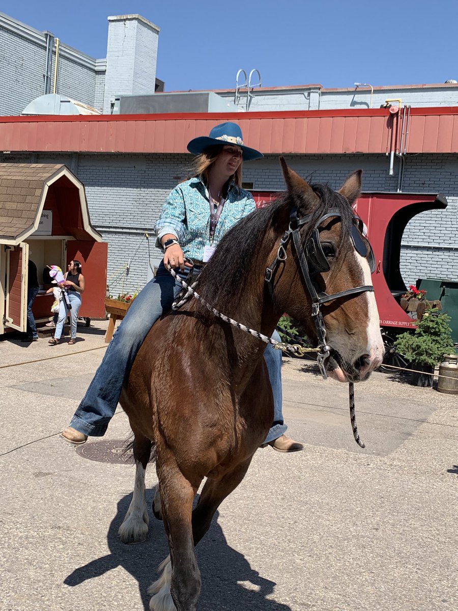 It’s been an amazing first two days here <a href="/calgarystampede/">Calgary Stampede</a>, and we’re only just getting started! Join us today for breed &amp; equipment demos, blacksmiths, wheelwrights, and more! #CalgaryStampede #yyc
