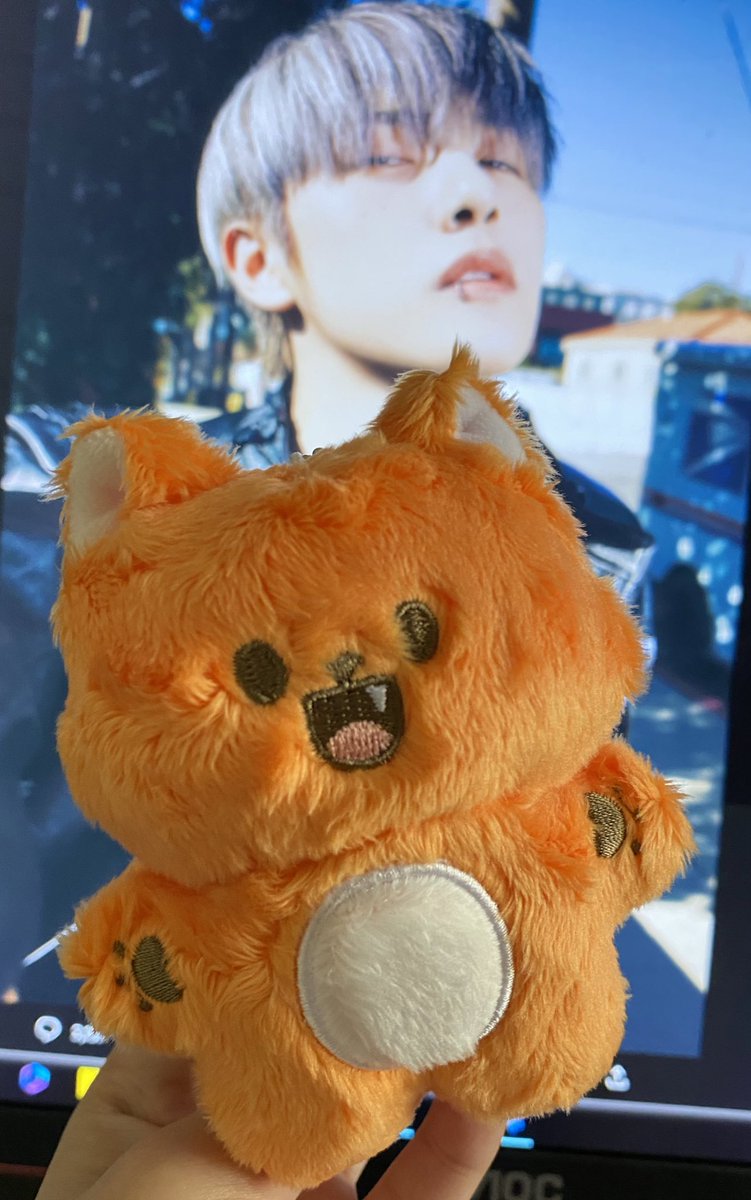 pcyqiankei11's tweet photo. My baby Injun is home. Super cuteeee! 🦊 Thank you so much @yoitsales 💛 #thxyoit https://t.co/nTEQy6EUVK