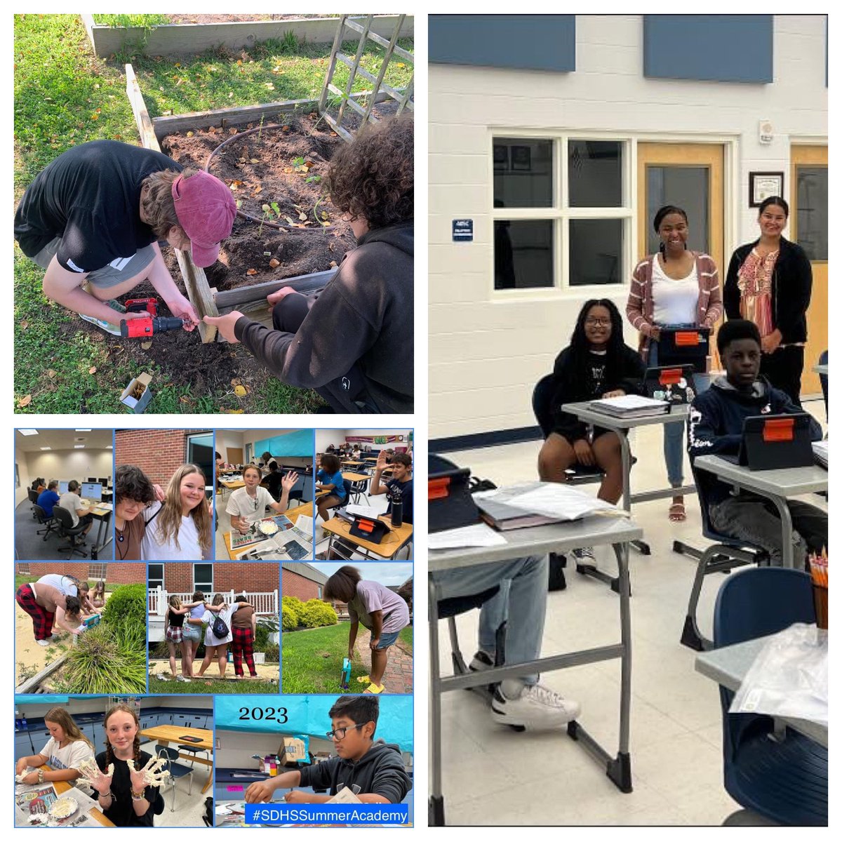 Tamara Mills tweet media