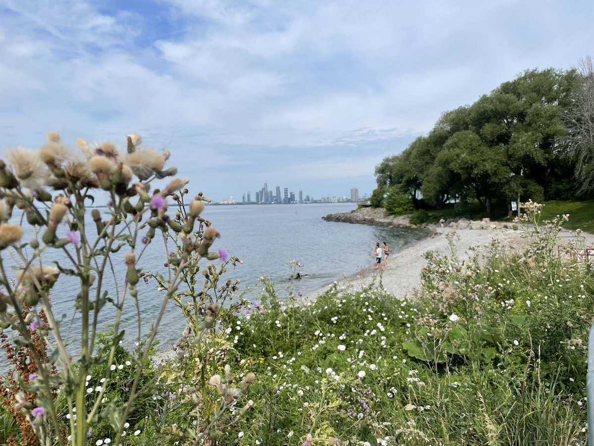 On a bird walk on the Ontario Place west island. Our host has already identified over 20 species of birds in the first 15 minutes, and the place feels like a natural wonderland. 

Very sad to imagine a bunch of profiteers ruining this beautiful space with a spa.
