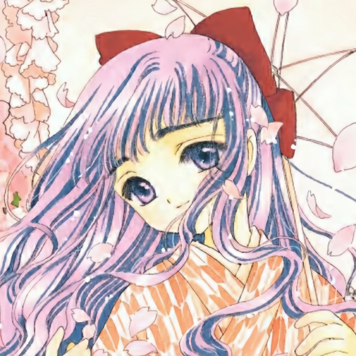Sofia 爱海露 tweet media