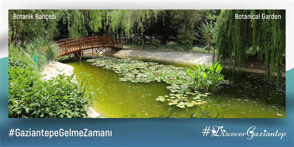 serdarmuratg's tweet photo. #DiscoverGaziantep 
Müzeleri ile Hayvanat Bahçesi ile Yeşil Alanları ile Gaziantep’i keşfetme zamanı…
Gaziantep’e gelme zamanı…
🏛️ https://t.co/0LKqWP3pS2