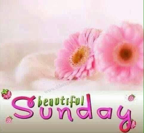 PawsBeauty2173's tweet photo. Whatever your plans are for today— Enjoy ☀️🌺! #avon #pawsbeauty #subdayselfcare #loveyourselffirst #MentalHealthMatters #shinedown #lgbtq https://t.co/DFkHE1guiL