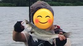 RiverSeaBass69's tweet photo. 画質クソだけど本日も小ぶりなやつが出ました https://t.co/uAVqD4dqMZ