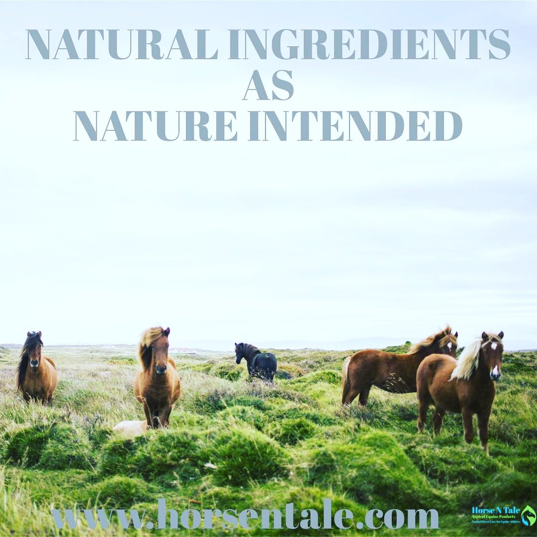 Natural ingredients as nature intended. 

Horse n Tale’s complete product range gets your equine athletes looking and feeling their best. 

#horsentale #topicalequineproducts #naturalhorsecare 
#equine #horse #horseproduct #naturalequineproducts 
#barrelracing #horsesupplies