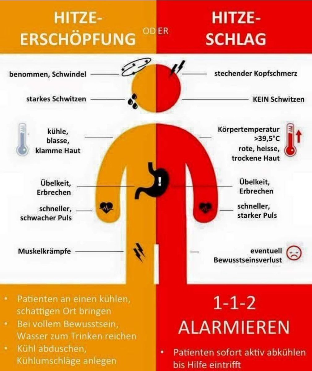 DeMohn79's tweet photo. Bitte gerne teilen - ein #Hitzeschlag kann schnell lebensbedrohlich werden!

#RetweetPlease #bitteTeilen #Hitzeschutz #Hitze https://t.co/bsAaDR8eEp