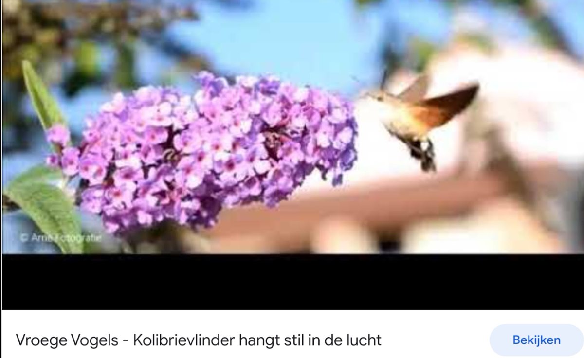 JohnHellings's tweet photo. @MichielFerwerda https://t.co/7X90MkJlwu