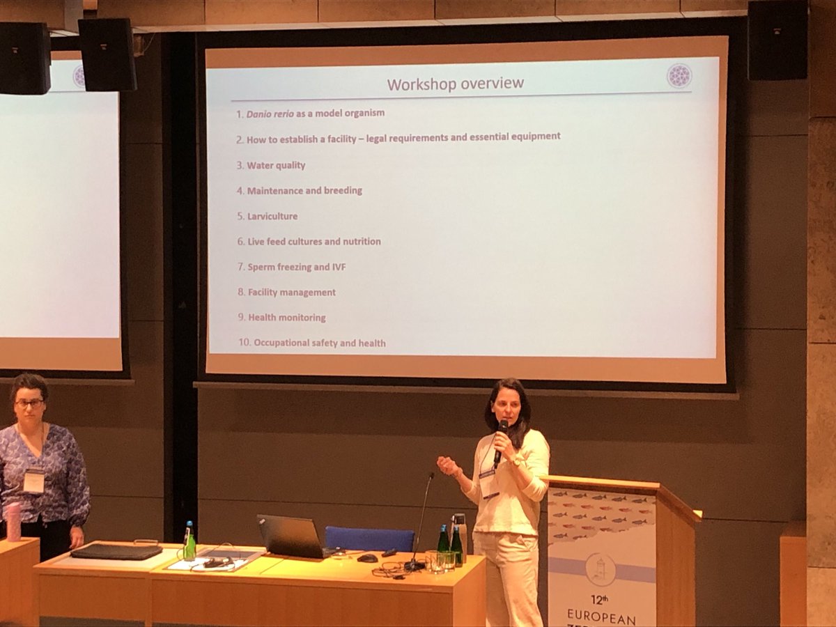 blkraven25's tweet photo. Husbandry Workshop at @EZM2023 @zebrafish  ⁦@Aquaneering⁩ https://t.co/he8kzhhDHc