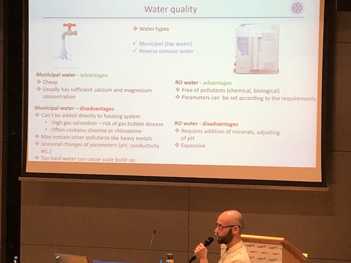 blkraven25's tweet photo. Husbandry Workshop at @EZM2023 @zebrafish  ⁦@Aquaneering⁩ https://t.co/he8kzhhDHc