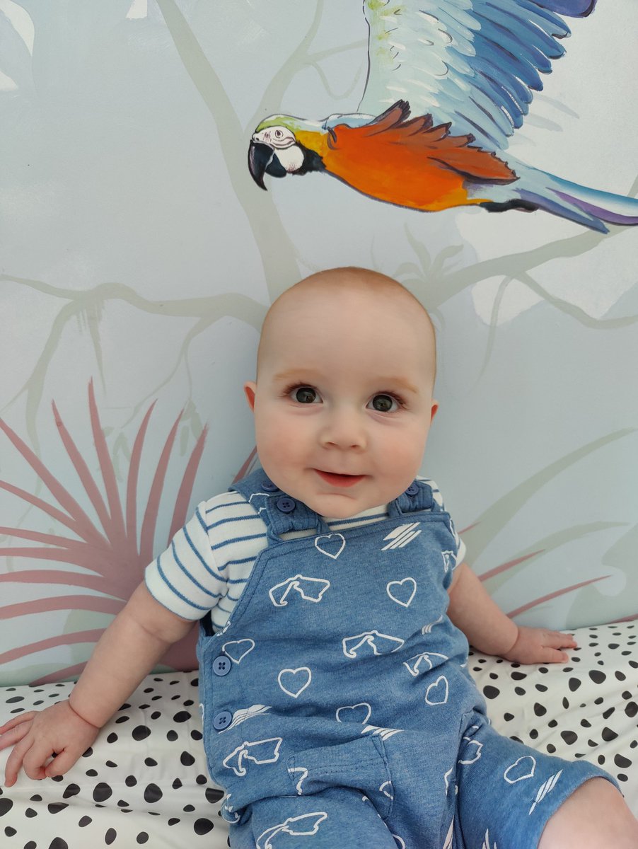 Little man ready to watch his first British GP ❤️
