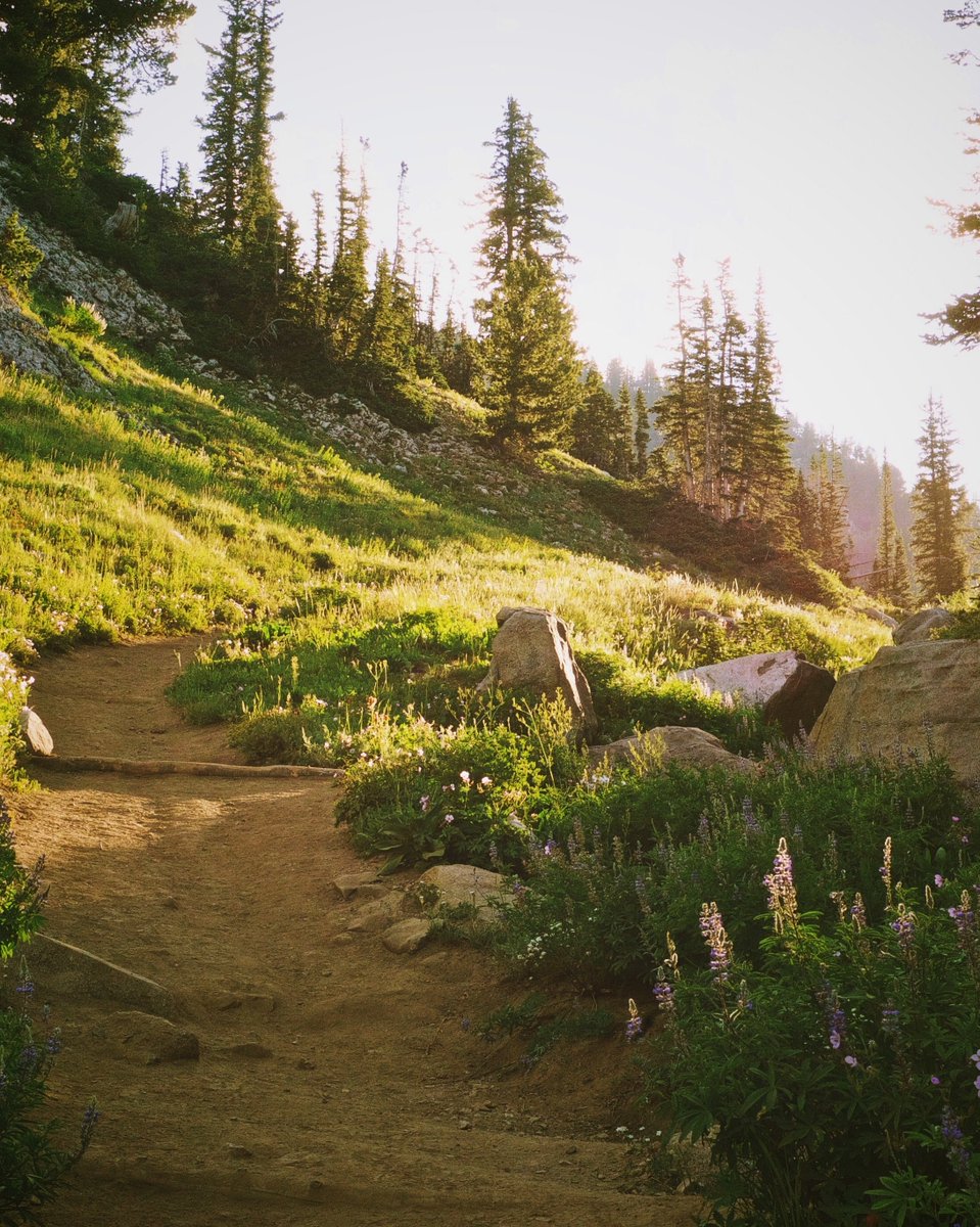 "All good things are wild and free."
– Henry David Thoreau #Utah