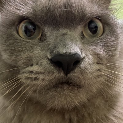 Rangga Yudhi Saputra tweet media