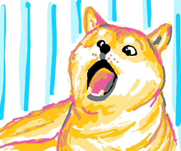 Doge4ETH's tweet photo. False FUD on the way about our team and project!

We have nothing to do with selling it's community driven project anyone could buy and sell. 

On Luanch no limit or whitelisting thingy to prevent buying!

We are making an announcement about our upcoming surprise stay tuned! https://t.co/vZTUAEQnBK