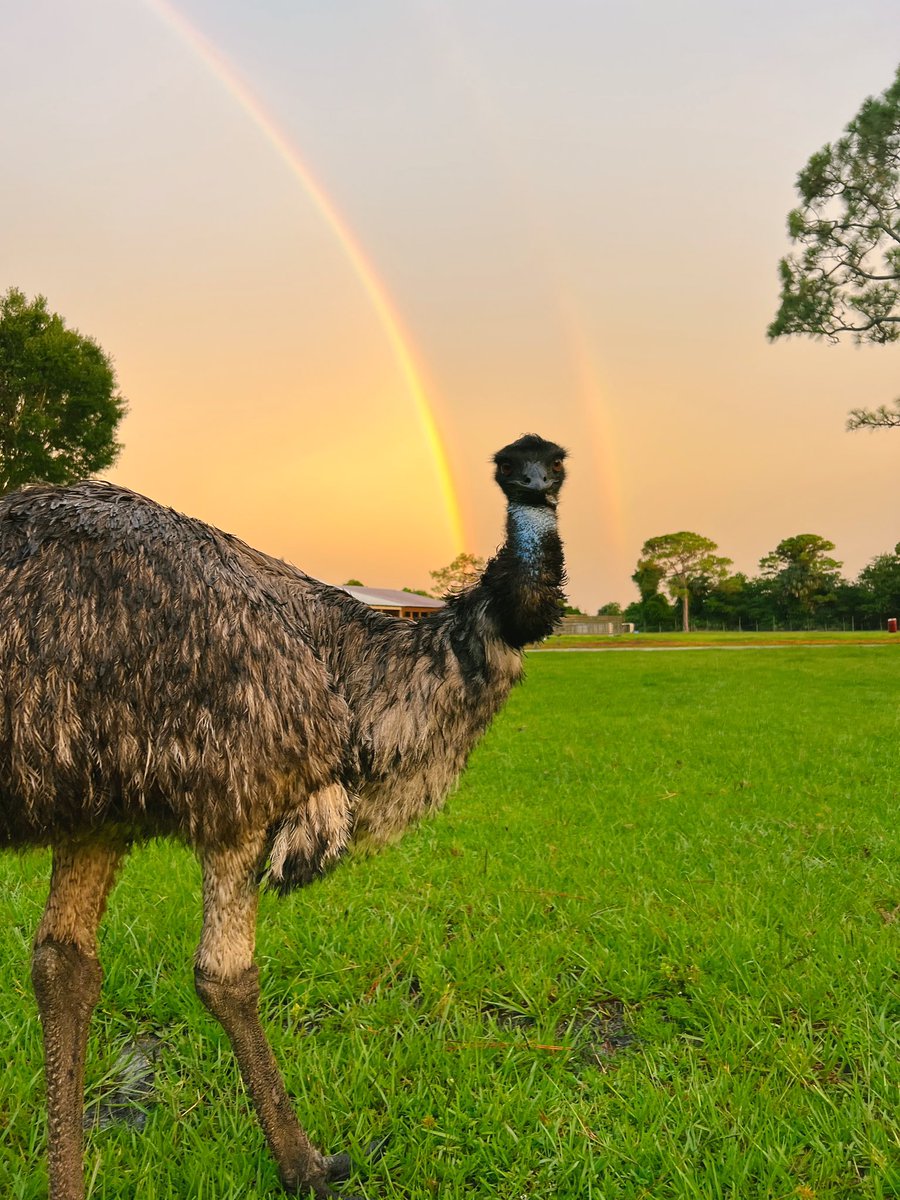 eco sister tweet media