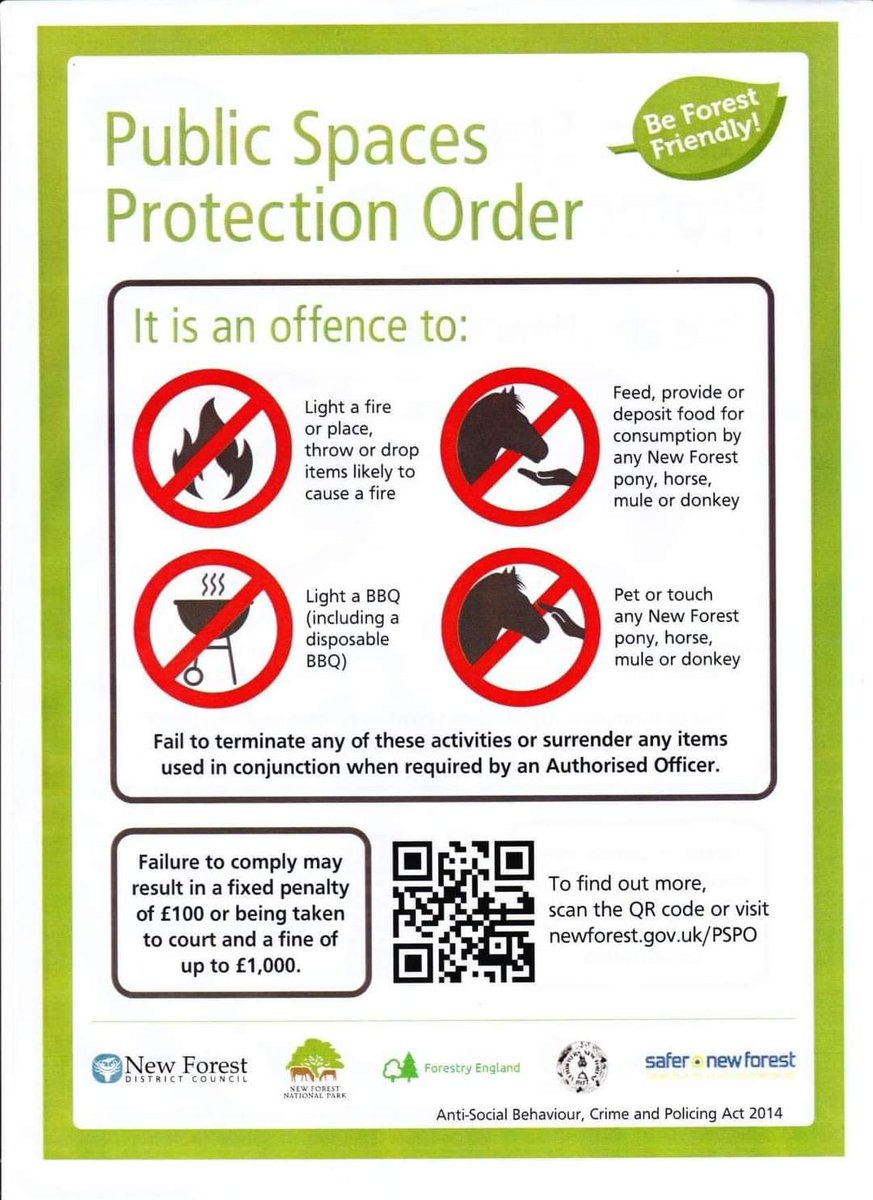 Dimblondejenni's tweet photo. @newforestdc So this is now in force - but where are the signs to deter people!!!!!! Just saw a group of horses relaxing in the pond under the shade of the tree at Whitemoor Pond - and a car had stopped on the verge and a group of people were amongst the ponies stroking them!!! https://t.co/NYLc8PQpVa