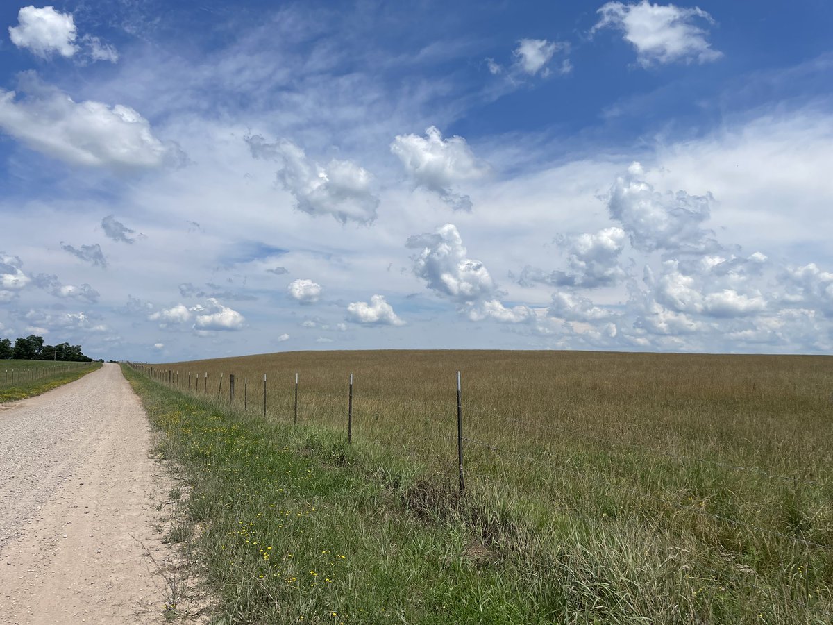IdaColumite's tweet photo. โMany times Iโve gazed along the open road.โ Roads with grass growing down the middle ๐ #home #wideopenspaces #vastnothingness #backroading https://t.co/bZvoWfa86T