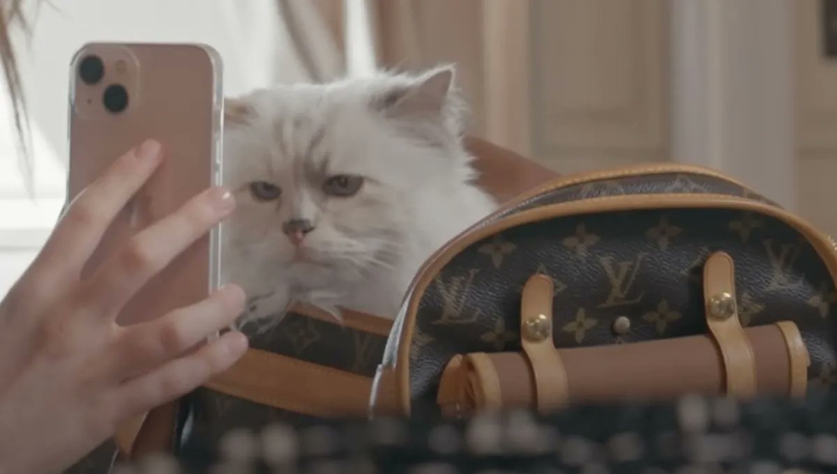 JeromeMONANGE's tweet photo. #QuestionduDimanche ? Les chats 😼 ultra-riches sont-ils plus heureux que les autres ? 😉
pensée à Choupette 🐈 qui depuis le décès de Karl Lagerfeld en 2019, est à la tête d'une fortune estimée à 11,9 millions d'euros...
https://t.co/eJvovQ5c69
#luxe #chat #KarlLagerfeld https://t.co/S74MDFACBt