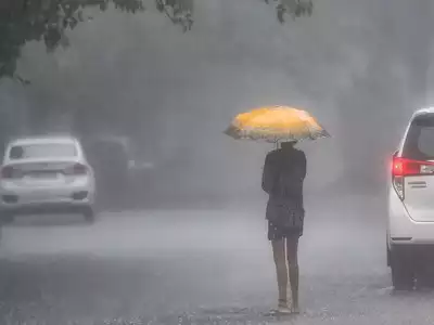 In view of the heavy #rains, schools in #Noida will remain closed: Rakesh Chauhan, District Information Officer, Gautam Buddha Nagar |  Catch the day's latest news and updates 🔴  bit.ly/43gSPXV