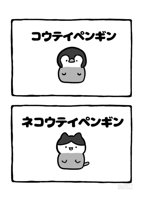 ネコウテイペンギン 