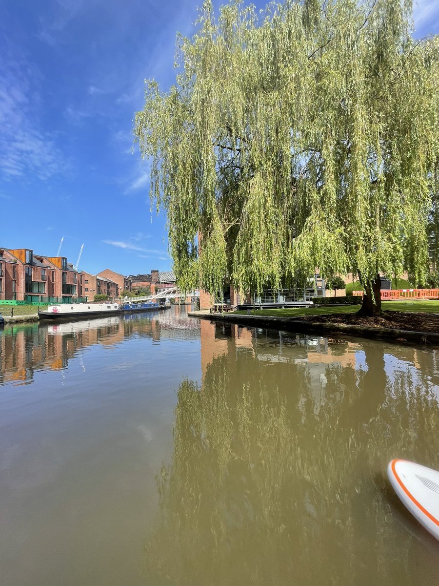 People of Colour Paddle tweet media