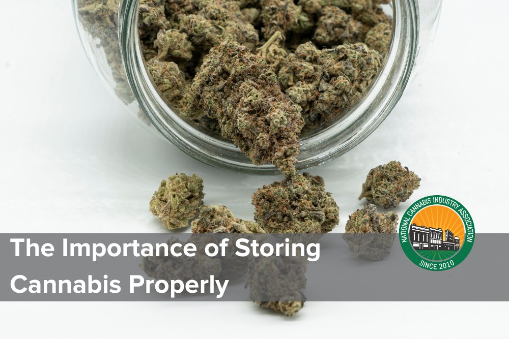 NCIAorg's tweet photo. Learn more about the crucial role proper storage methods play in preserving the quality, potency, and flavor of cannabis - https://t.co/Gp0hGlUWlA
#cannabisstoragetips #humiditycontrol #cannabisquality #potentbuds #cannabiscultivation #properstorage #preservingpotency https://t.co/ZMoeAvAxxt