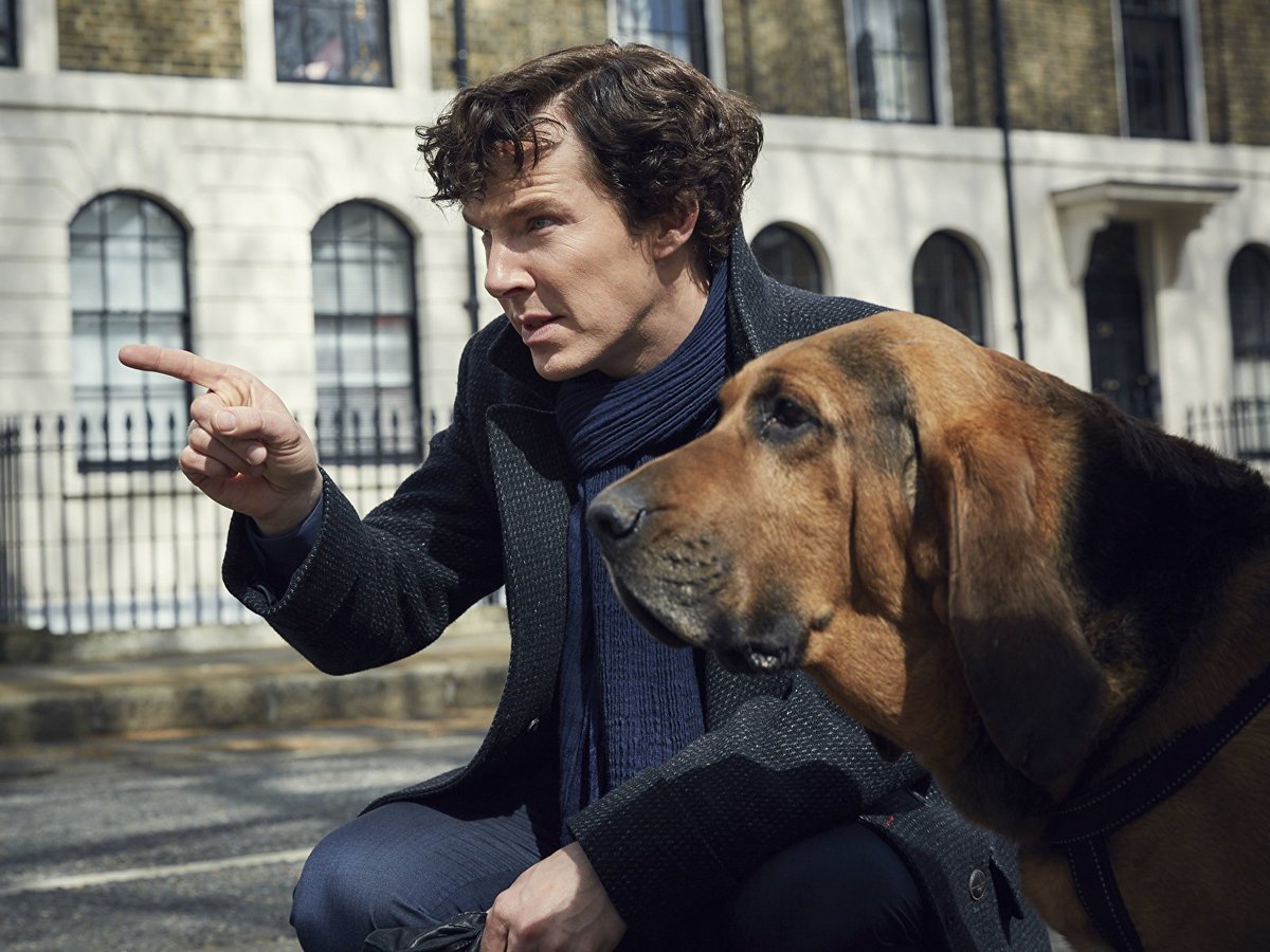 #BenedictCumberbatch #TheElectricalLifeOfLouisWain #Sherlock
🐈 or 🐕