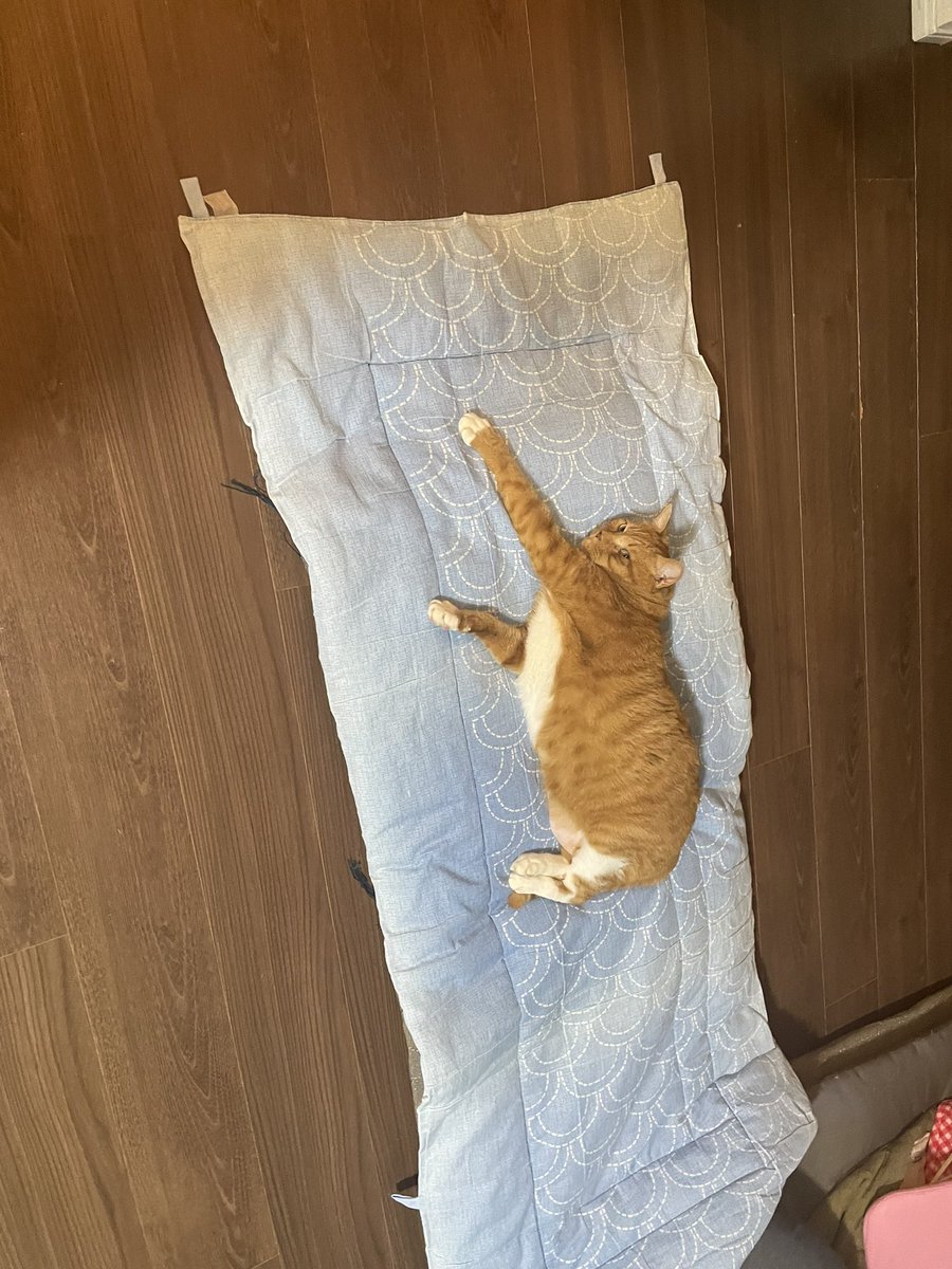 ＊-manami-＊ tweet media