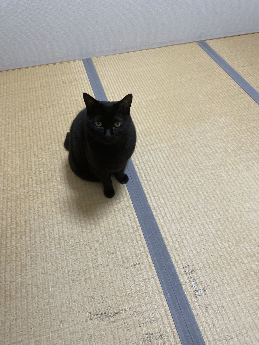 ＊-manami-＊ tweet media