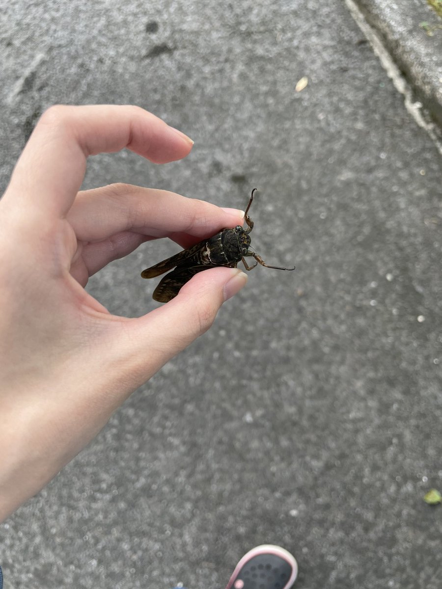 ＊-manami-＊ tweet media