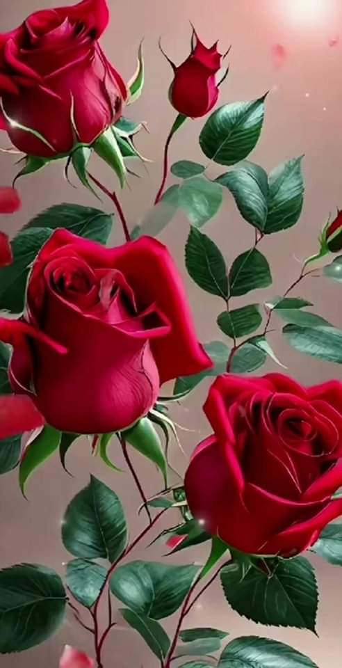 omer25can2525's tweet photo. Seviyorum diyen Şair
Sen hiç uzaktan 
Ilaçlarına bakıp iyileşen
Hasta gördünmü..?
Hanımeli gibi sarmaş
Dolaş sanma #Aşkı
#Isırgan gibi yakıcı
#Ayrık otu gibi kestikçe
#Çoğalan değilse eğer
#Aşk değildir o
Akşamınız #Aşk ola
Hayırlı Akşamlar https://t.co/Y4J0Qb3oNR