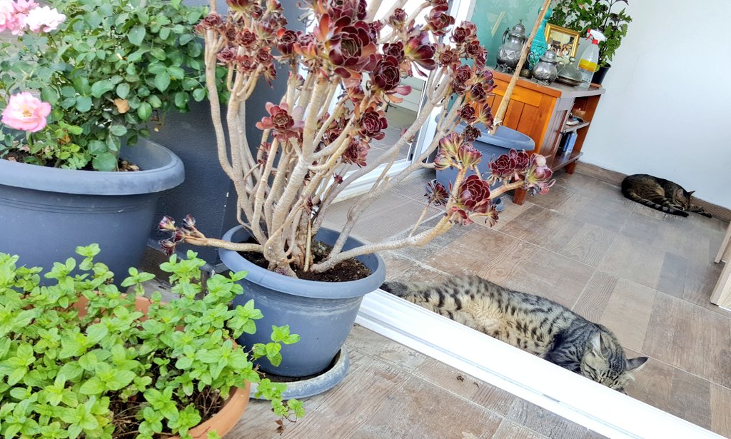 Anlık... Sıradan, sıcak bir gün...