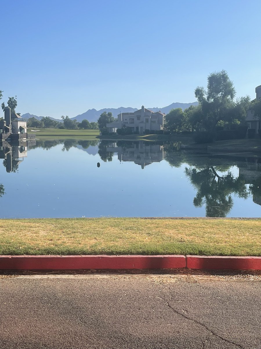 Our NSI lab team members enjoying a beautiful Scottsdale morning together.