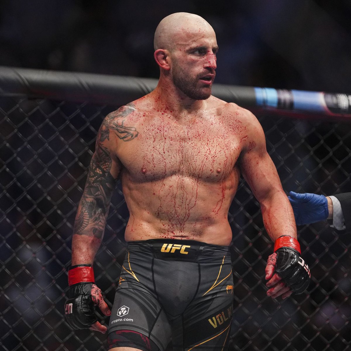 Alek💎 tweet media