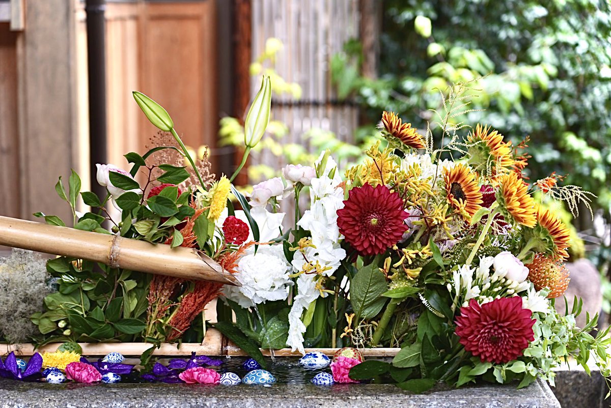 kenken_kyoto_'s tweet photo. 京都 勝林寺 ✨
花手水💐
@shourin_ji
#勝林寺 #花手水 #flowerwater #shourinji #花手水めぐり #花手水舎 #寺社仏閣 #京都 #京都観光 #京都旅行 #京都旅 #kyoto #kyotojapan #kyotogram #kyototravel #京都観光スポット #京都さんぽ #花 #frower #frowers #はなまっぷ #向日葵 #ひまわり https://t.co/qIfs91Ew98