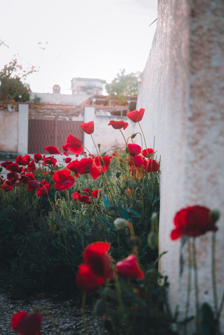 تفاصيلَ الأماكنْ تذكرُنا بكلّ شي🍃