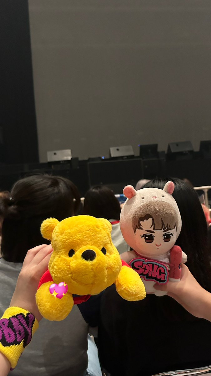 __ru_chan_45's tweet photo. 今日の最後のプレミアムの特典会で最後の最後にバビちゃんがプーさんちょうだい！って手でジェスチャーしてくれて受け取ってもらえた🍯😭
投げるの下手くそでステージ届かんかったのにスタッフさんがバビちゃんに渡してくれてほんまに感謝です😭😭😭
バビちゃんありがとう🫵🏻🩷 https://t.co/YsEzCmTQcb