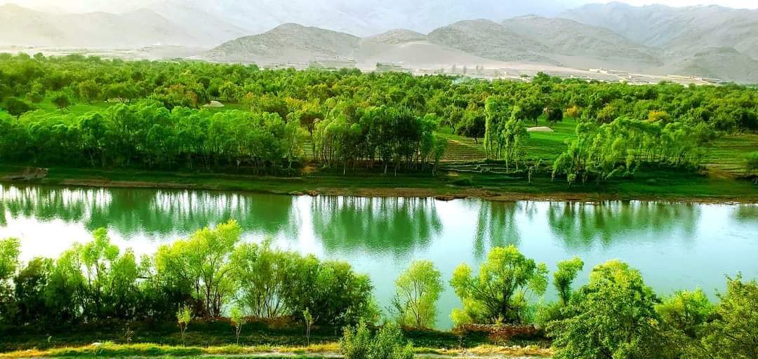 IEAFG's tweet photo. ارزګان ولایت افغانستان

Uruzgan province of Afghanistan https://t.co/72sm2BCZzh