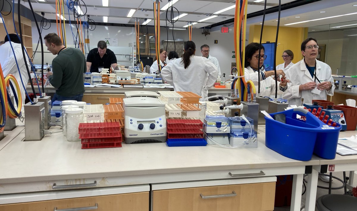 First full day of the Phage Discovery Workshop <a href="/UMBC/">UMBC</a>. Working on phage isolation using the direct method. Participants learned how to do the plaque assay this morning. Enthusiasm is high! #SEAPHAGES @HHMI
