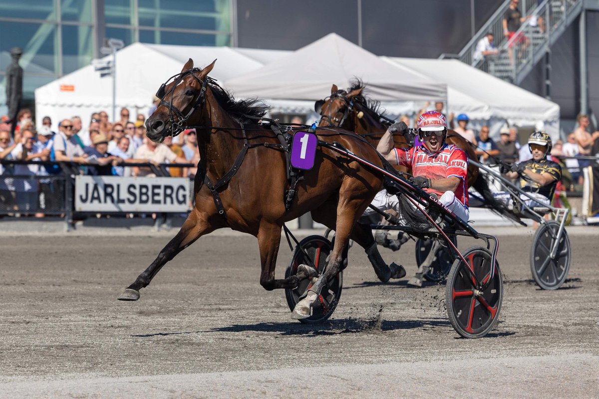 JARLSBERG GRAND PRIX HOPPEAVDELING
N.Y. MOET vant sitt kval for et par uker, og i finalen stakk hun av med seieren også!🏆 Sammen med sin faste kusk Åsbjørn Tengsareid ble seieren et faktum på vinnertiden 10,9🥇

Foto: Trond Pedersen
#Jarlsbergtravbane #Jarlsberggrandprix