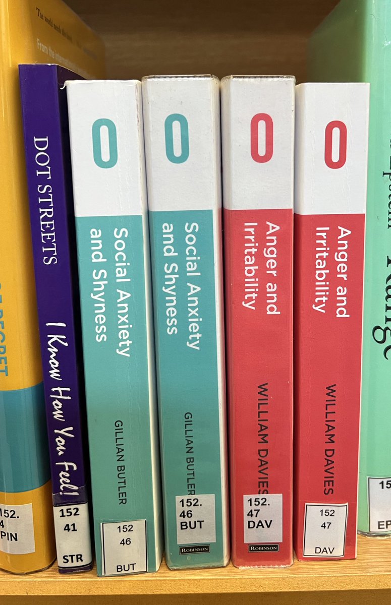 Absolutely creased at that the books in the Computing section of the local library include ‘Reasons to stay alive’ and ‘Social Anxiety and Shyness’