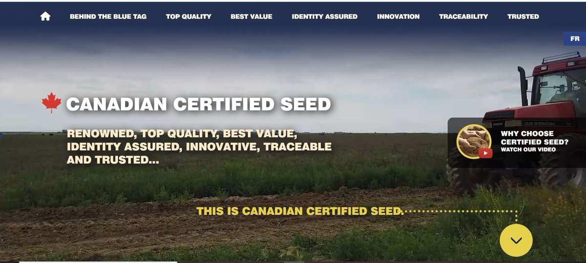 We are so happy to launch our new campaign! 
THIS is Certified Seed! 
choosecertifiedseed.ca 

Nous sommes vraiment heureux de lancer notre nouvelle campagne! 
«C’est la semence Certifiée canadienne» choosecertifiedseed.ca/fr 

#ChooseCertifiedSeed #CdnAg #ChoisirSemenceCertifiee