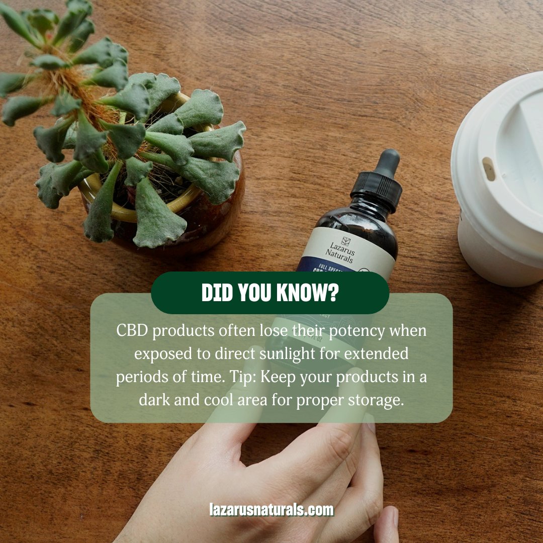 lazarusnaturals's tweet photo. #DYK: Improper storage can lead to a quicker loss of quality and potency in your products? For the best care, keep your products in a dark and cool area in their original Lazarus Naturals packaging!

#LazarusNaturals #cbdeducation #cbdtips #cbd101 #hemp101 #hempinfo https://t.co/Q7hcCiTddd