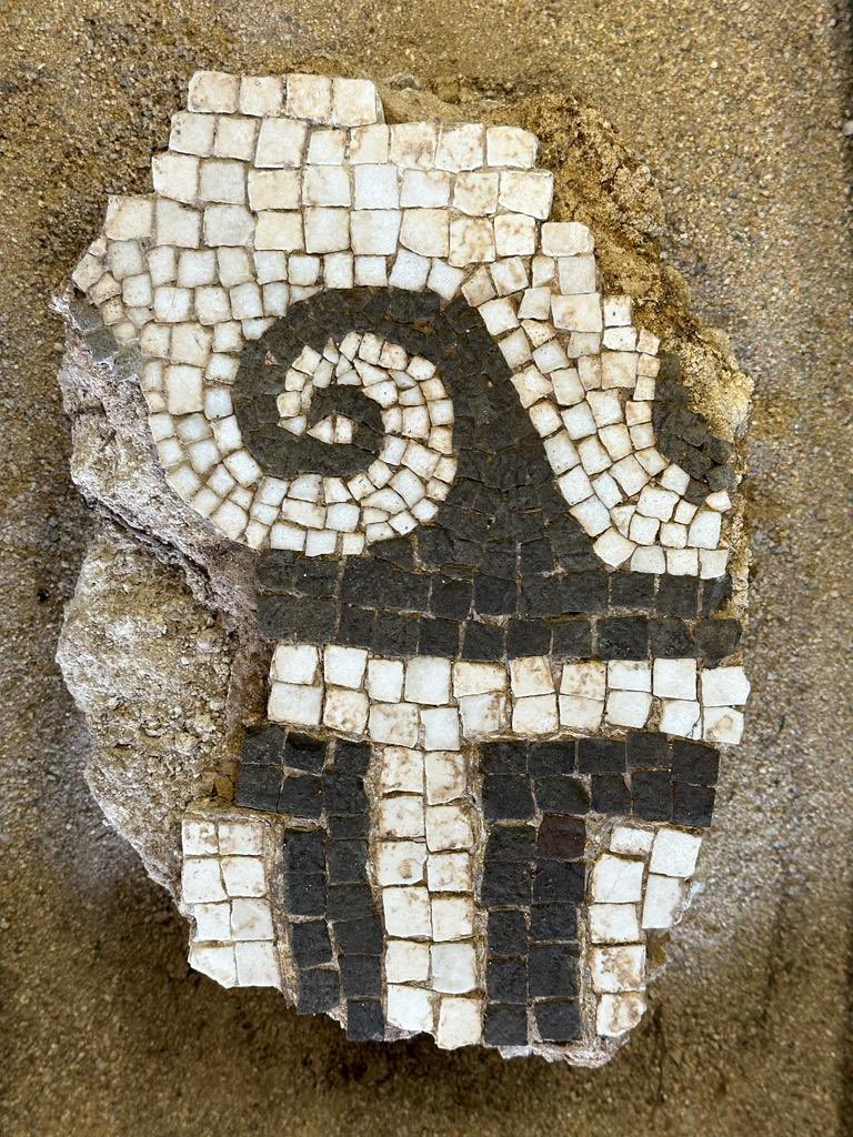 UCTharros's tweet photo. We don’t often find chunks of a mosaic in the fills to level a floor, but when we do…
#Tharros 
#mosaic https://t.co/m2tHtE4Hod