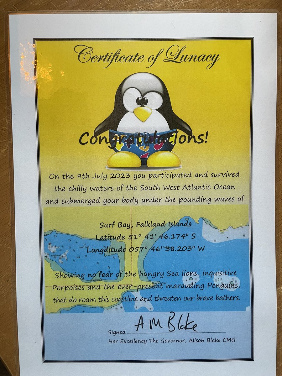 Midwinter swim frolics today…