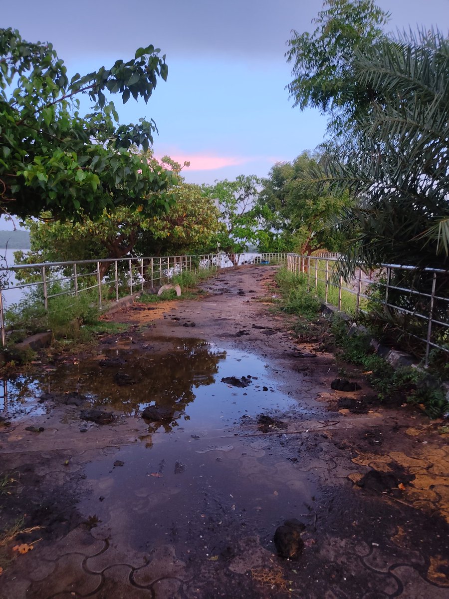 baradaprasad's tweet photo. Regrettably, Panthanivas, Barakul, managed by #OTDC  has fallen into a deplorable condition. The prevalence of cow dung, dirt, and unmanaged small trees creates an unsanitary environment. Immediate steps needed to clean and revive this iconic place. @DMKhordha @MoSarkar5T https://t.co/5K2EvbRZQS