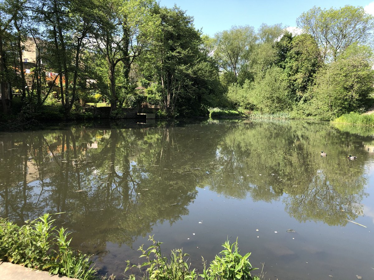 owlmanac's tweet photo. @FOCB1 our next work day is Sunday 16th July 2023. Meet at the dam @ 10am with refreshments and biscuits provided. Please give some time to help maintain our much beloved green space https://t.co/Ed5QhbfJHj