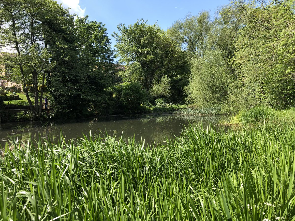 owlmanac's tweet photo. @FOCB1 our next work day is Sunday 16th July 2023. Meet at the dam @ 10am with refreshments and biscuits provided. Please give some time to help maintain our much beloved green space https://t.co/Ed5QhbfJHj