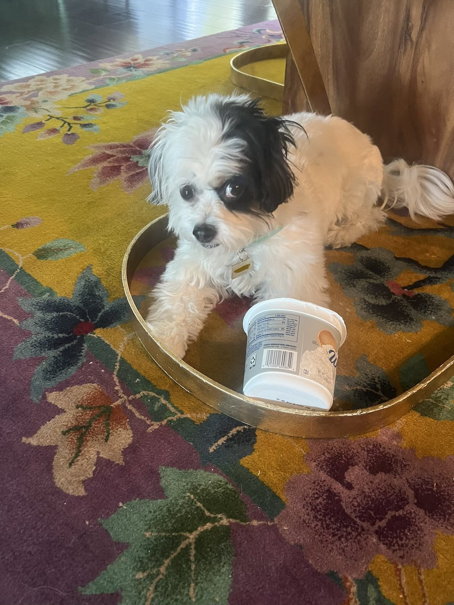 losfamgeles's tweet photo. What’s worse than getting caught with your hand in the cookie jar? https://t.co/MYFm4vTW2N
