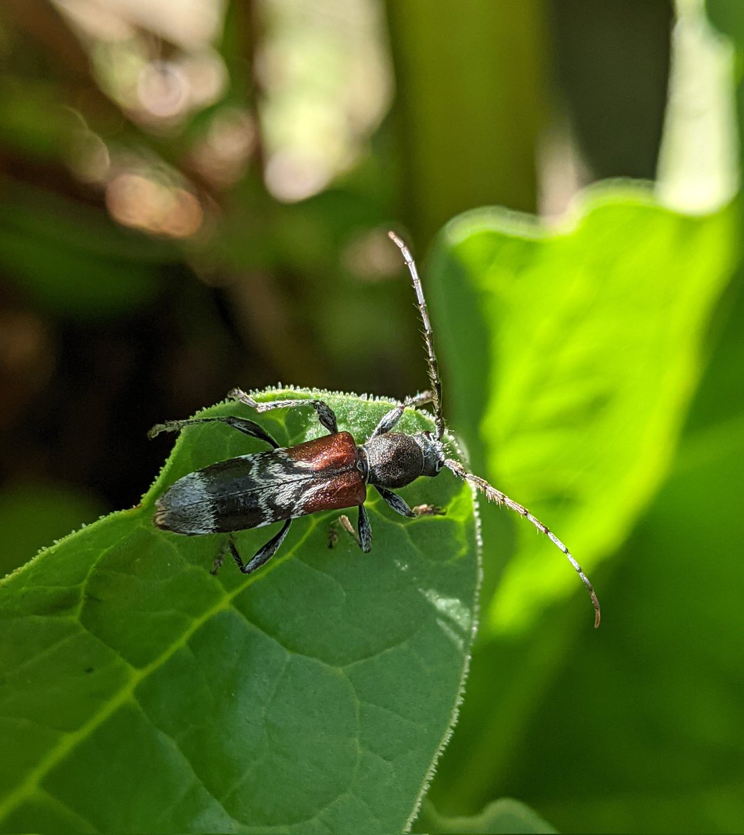 Lindsey💙 🇺🇦 tweet media